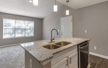 Aspen 1x1 629 kitchen